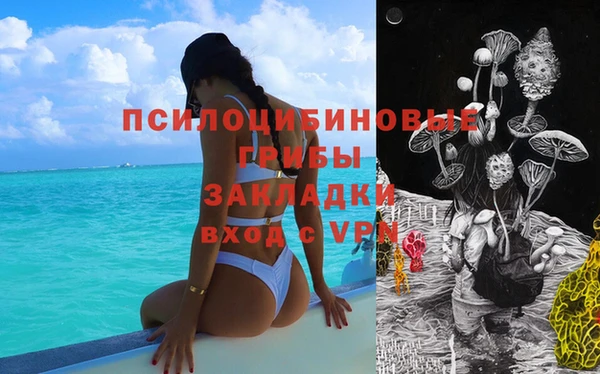 прущие крисы Баксан