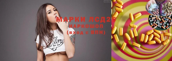 индика Аркадак