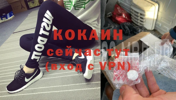индика Аркадак