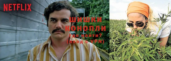 дживик Балахна