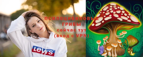 МДПВ Арсеньев