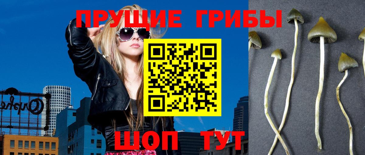 Галлюциногенные грибы мицелий Выкса